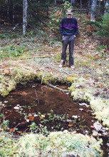 508_OBJ-Thumbnail Image.jpg